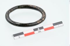 Foto von Bronzering (NHMW-PRAE-025961)